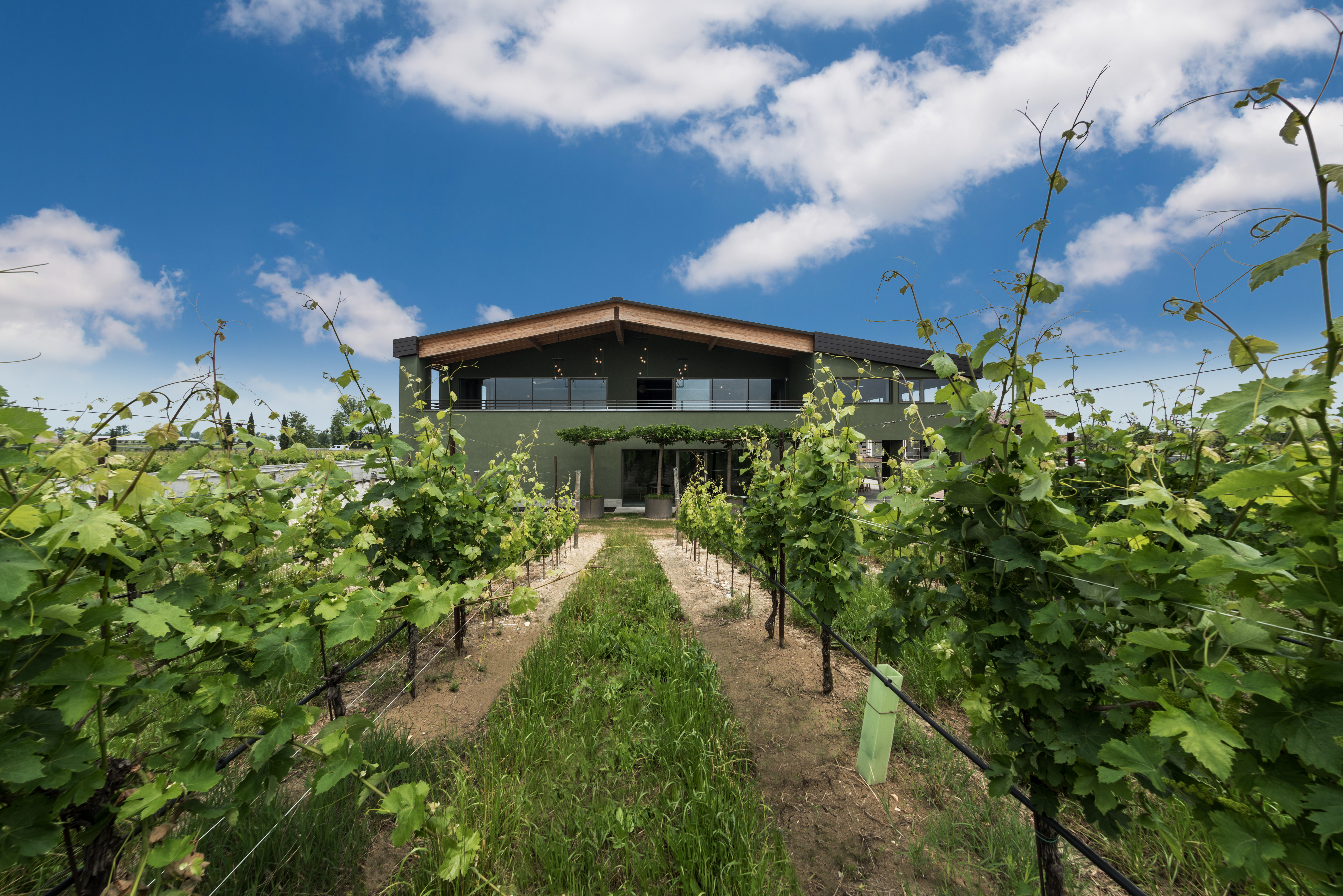 Famiglia Olivini_nuova cantina